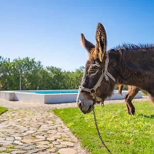Burro Bauernhof Portimão